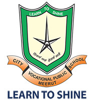City Vocational Public School logo