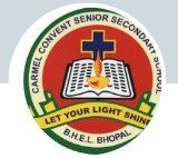 Convent Of Jesus & Mary logo