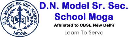 D.N Model Sen Sec School logo