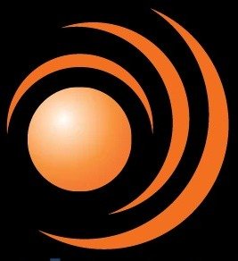 D R S International School logo