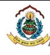 D V M Public School logo