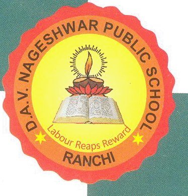 DAV Nageshwar Public School logo