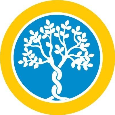 Delhi International School logo