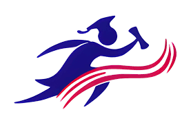 Delhi International School logo