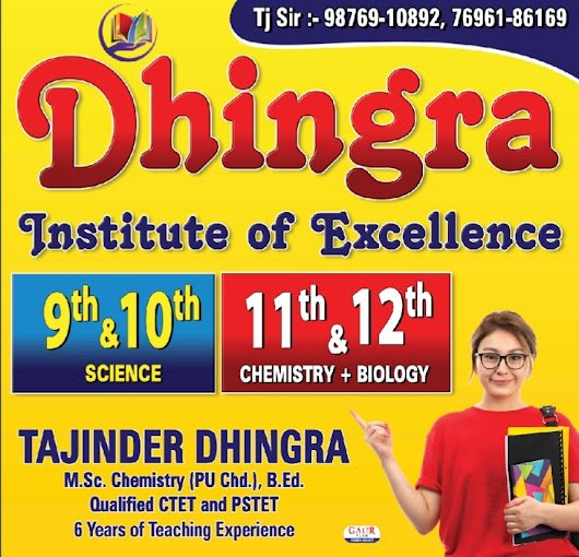 Dhingra Institute Of Excellence logo
