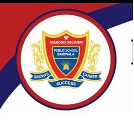 Diamond Discovery Public School logo