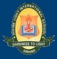 Divine Light International School logo