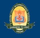 Divine Light International School logo