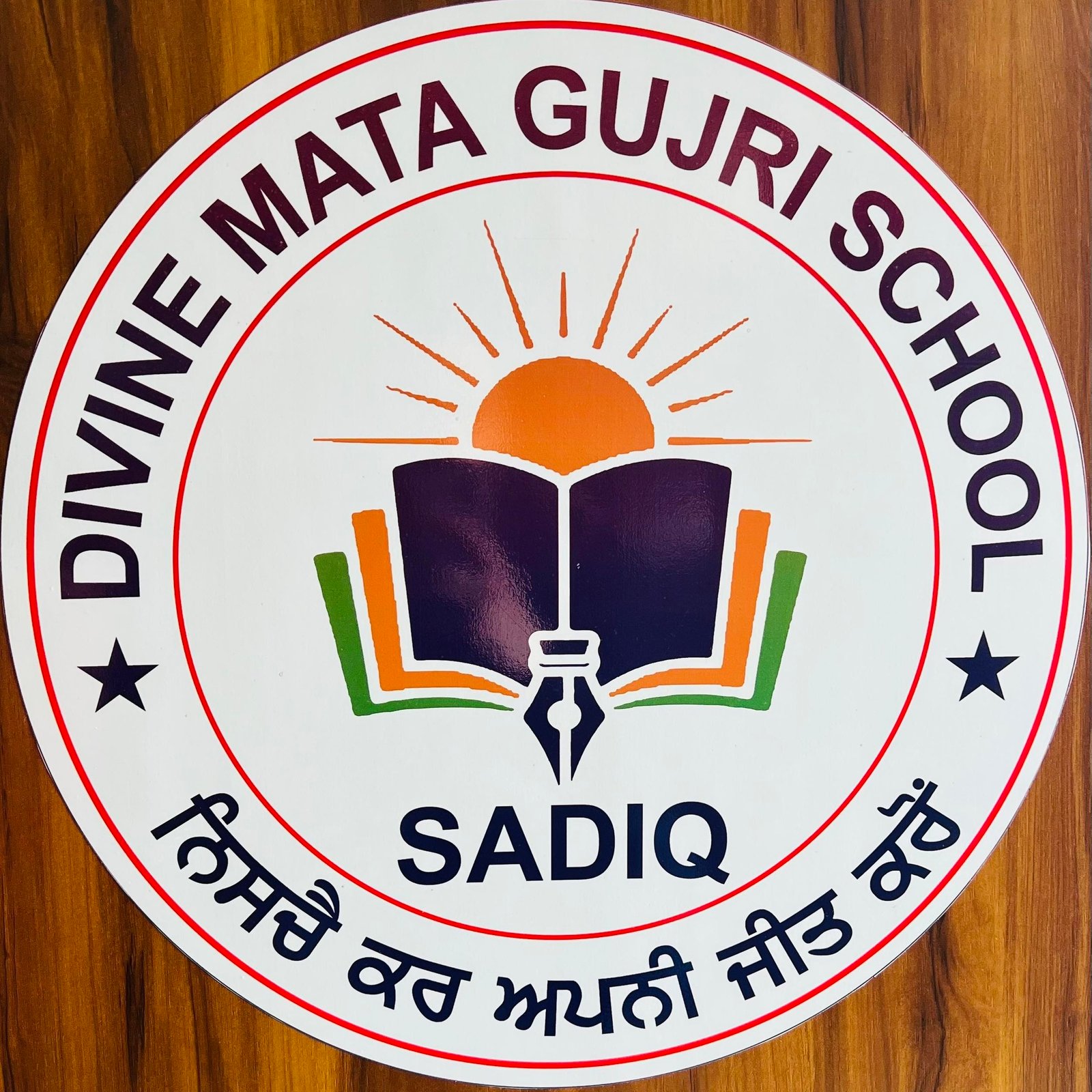Divine Mata Gujri Public Senior Secondary School logo