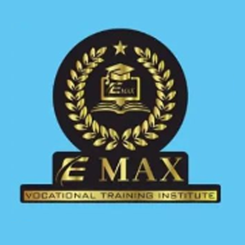 E Max Vocational Training Institute logo