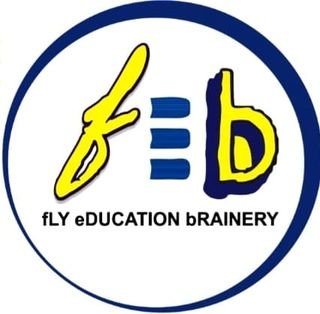 Fly Education Brainery logo