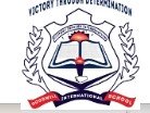 Goodwill International School logo