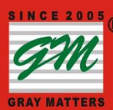 GRAY MATTERS logo