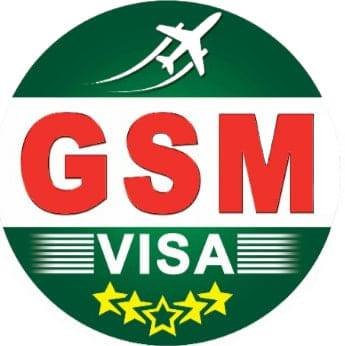 GSM VISA logo
