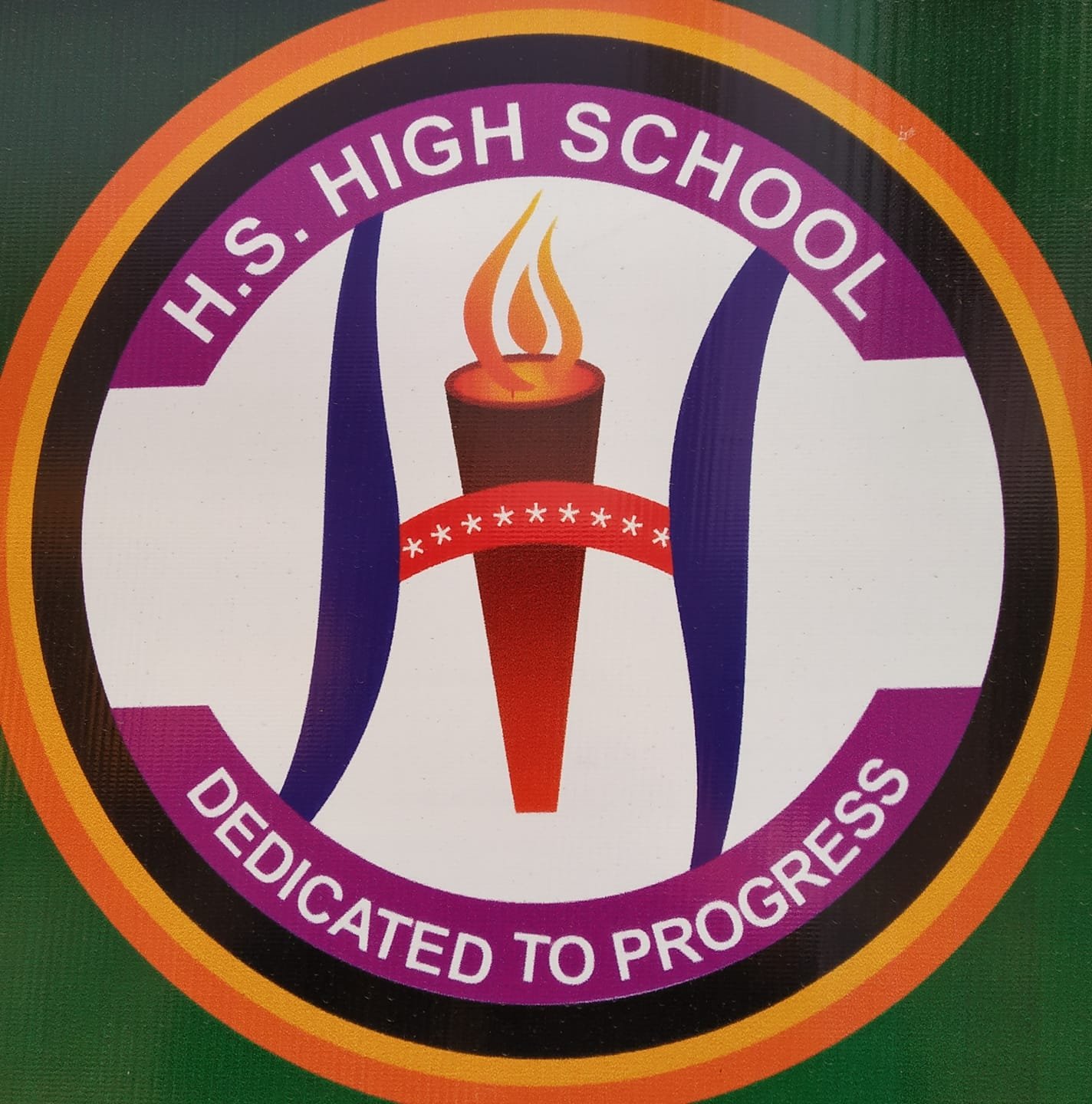 H.S High School logo