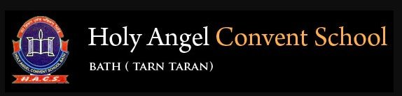 Holy Angel Convent School logo