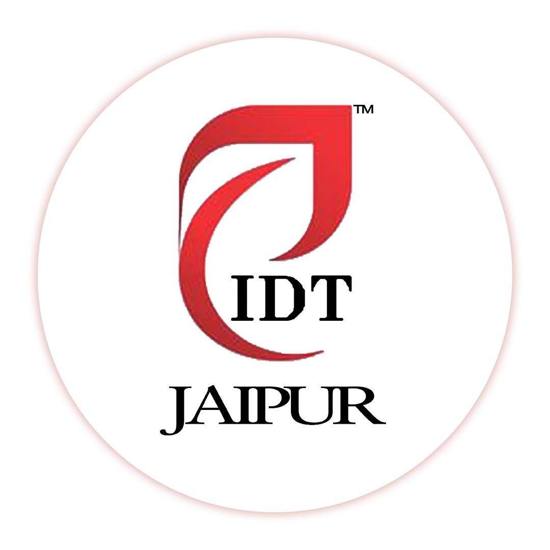 IDT Institute logo