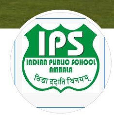 Indian Public School logo