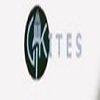 Kites English Academy logo