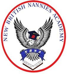 Learn and Fly Academy logo