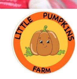 Little Pumpkins Farm Kindergarten And Day Care School logo