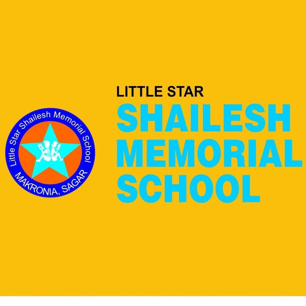 Little Star Shailesh Memorial School logo