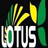 Lotus beauty salon & academy logo