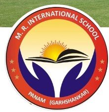 M.R. International School logo