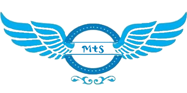 MALWA ENGLISH SCHOOL IELTS & IMMIGRATION logo