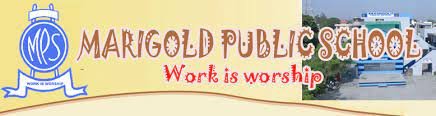 Marigold Public School logo
