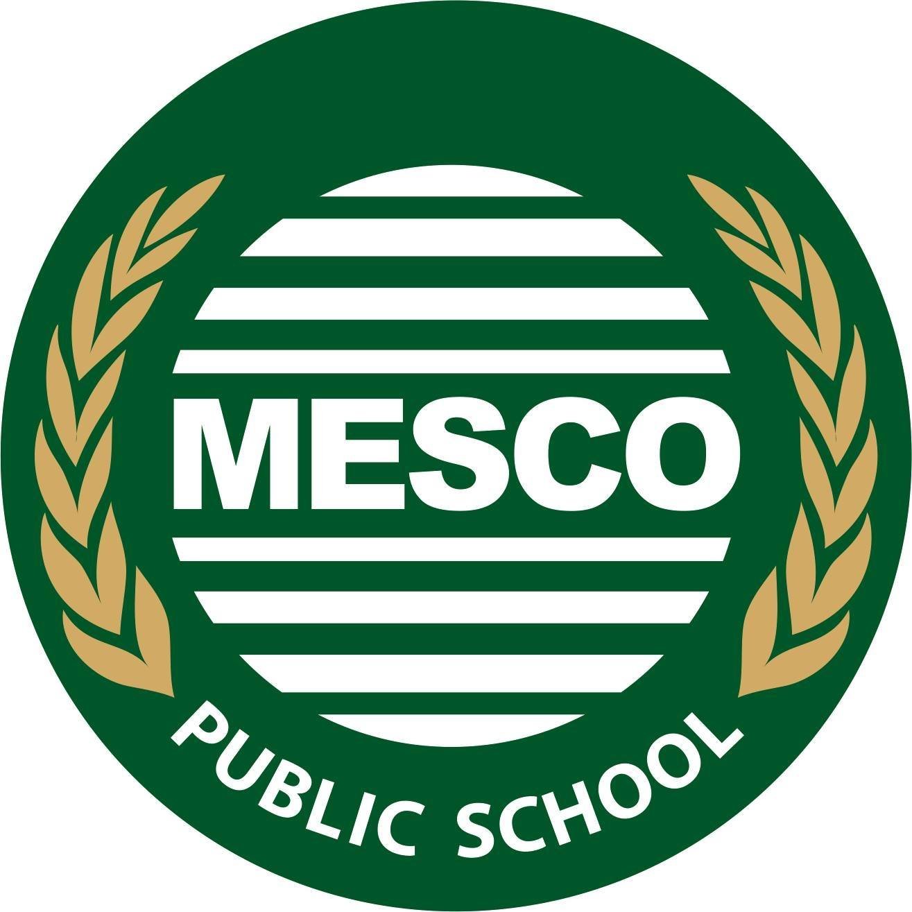 Mesco Public School logo