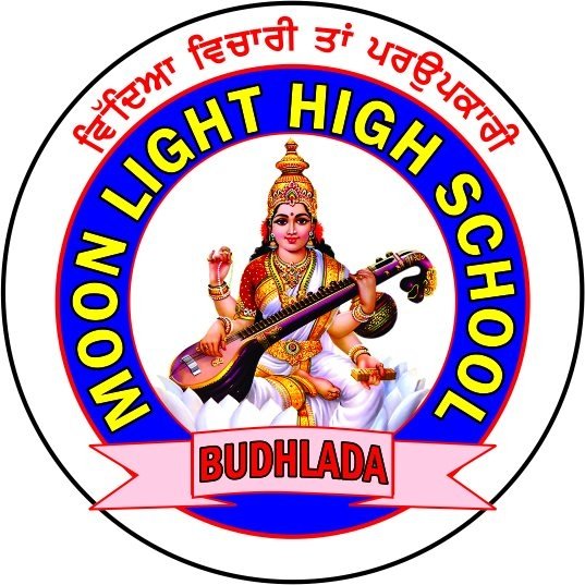 Moon Light High School logo