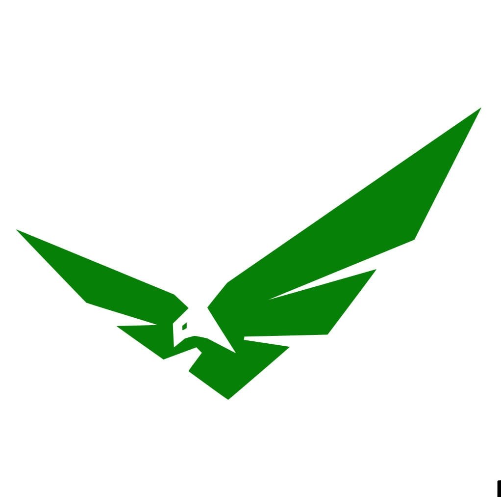 MORNING STAR logo