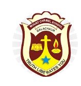 Mount Carmel School logo