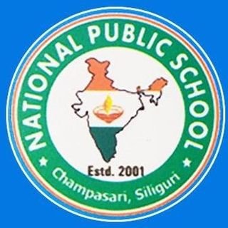 National Public School logo