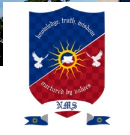 Neerja Modi Group of Schools logo