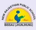 New Rajasthan Public School logo