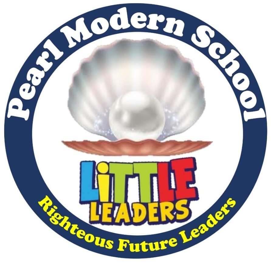 Pearl Modern School logo