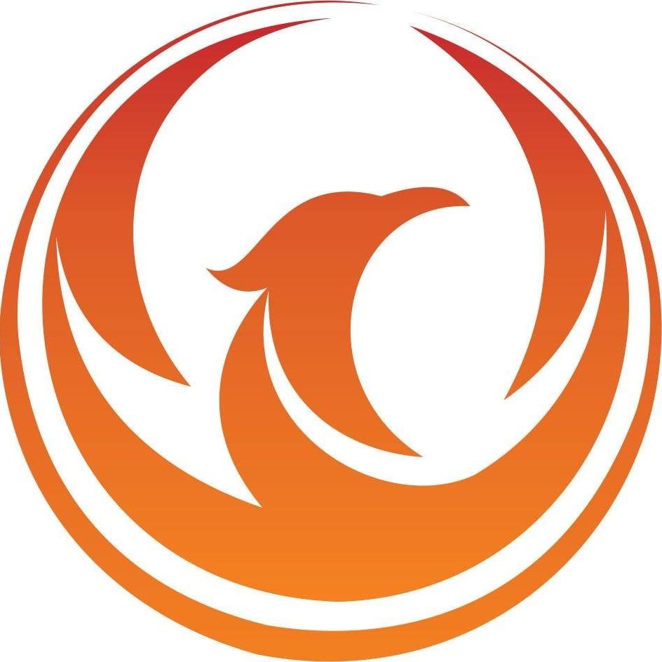 Phoenix Institute of Mathematics & Science logo