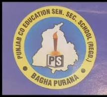 Punjab Co- Edu. Sen. Sec. School logo