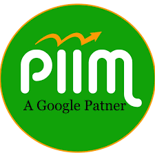 Punjab Institute of internet marketing logo