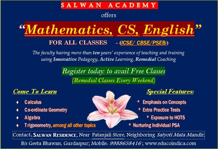 R D Salwan Academy logo