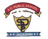 S.D. Public School logo