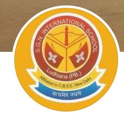 S.G.N. International School logo