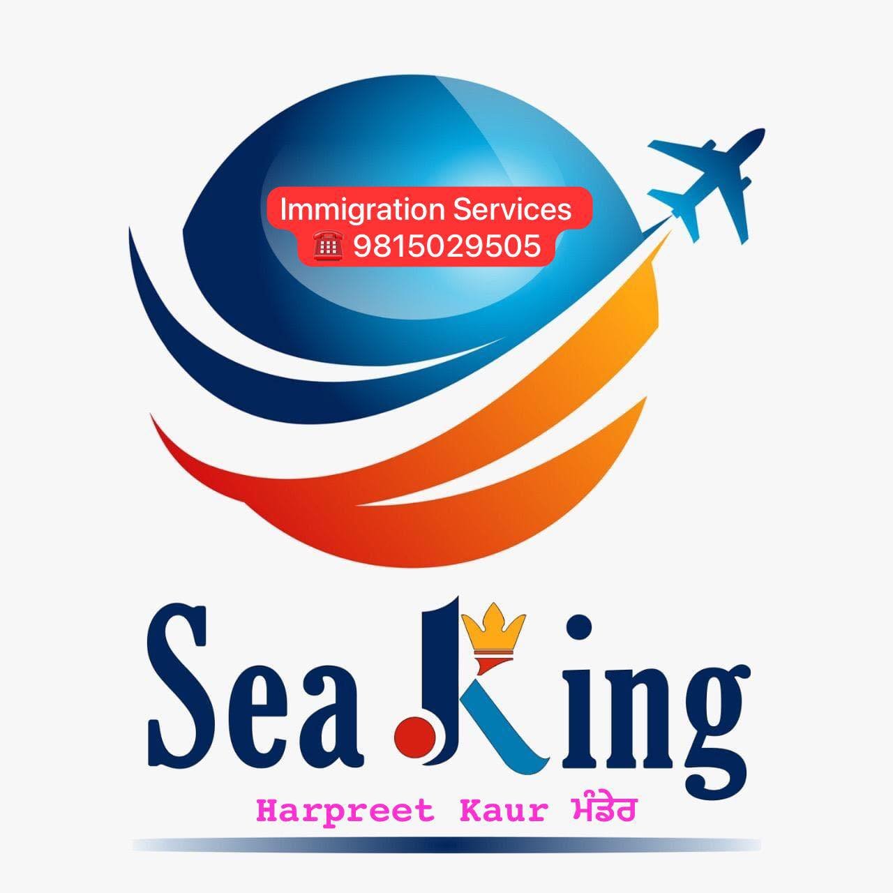 Seaking The Visa Expert logo