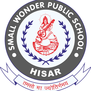 Small Wonder Public School logo