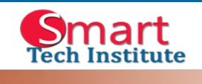 Smart Tech Institute logo