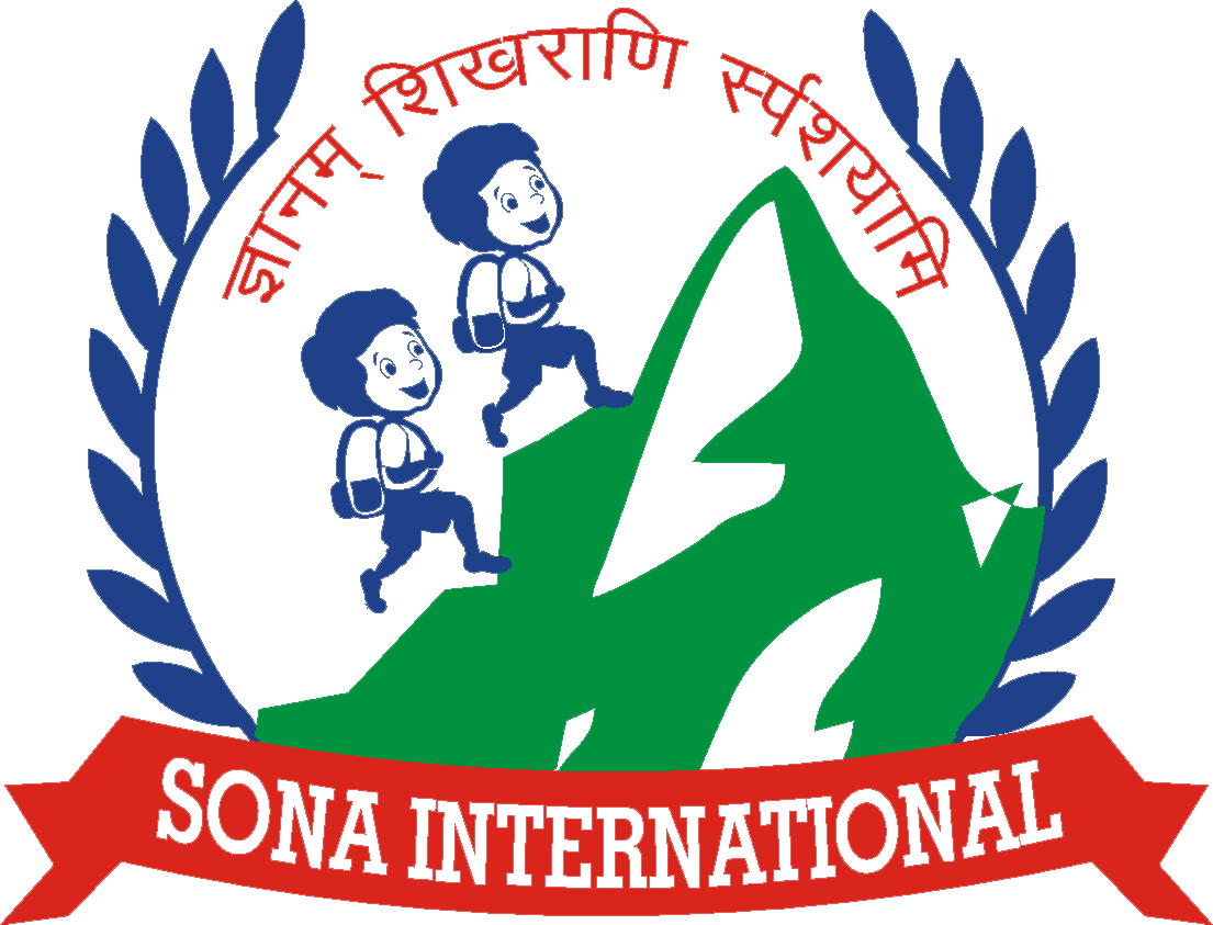 SONA INTERNATIONAL SCHOOL logo