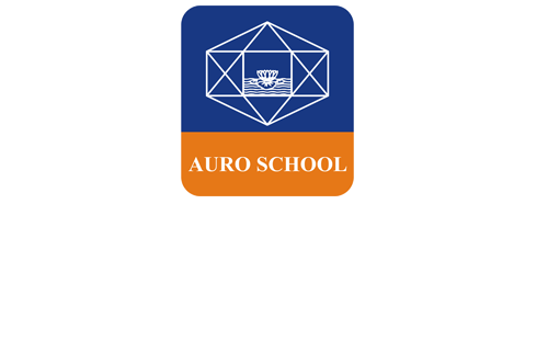 Sri Aurobindo International School logo