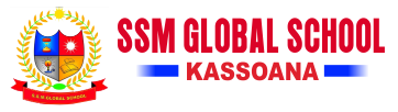SSM Global School logo